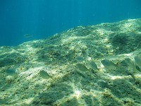 P8050011