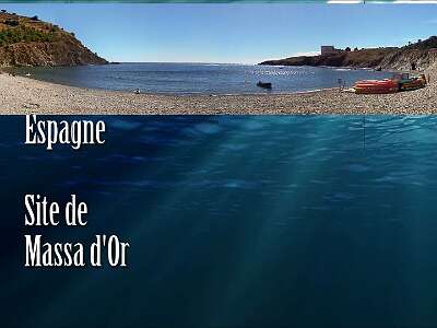 creus flv