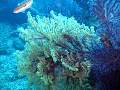 PICT0793