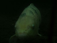 PICT0027
