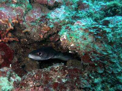 Empuriabrava Paques