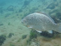 IMG 4289