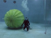 Duiktank