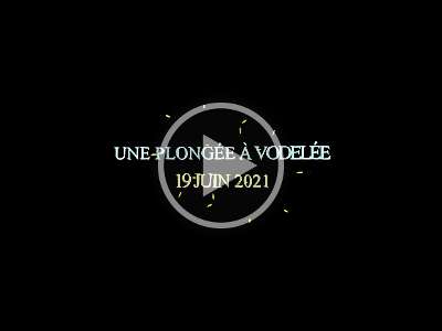 Vodelée210619
