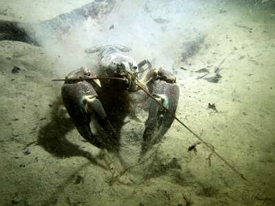 PB050013